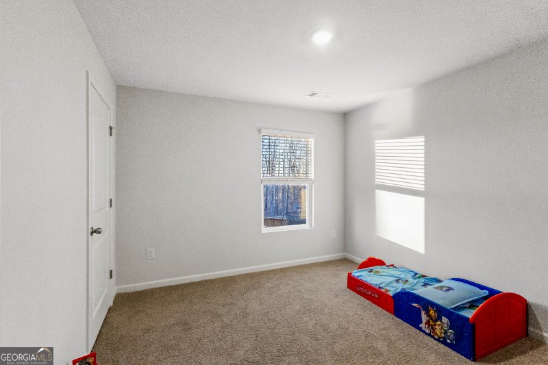 55 Shadwood Place Dawsonville - Photo 75