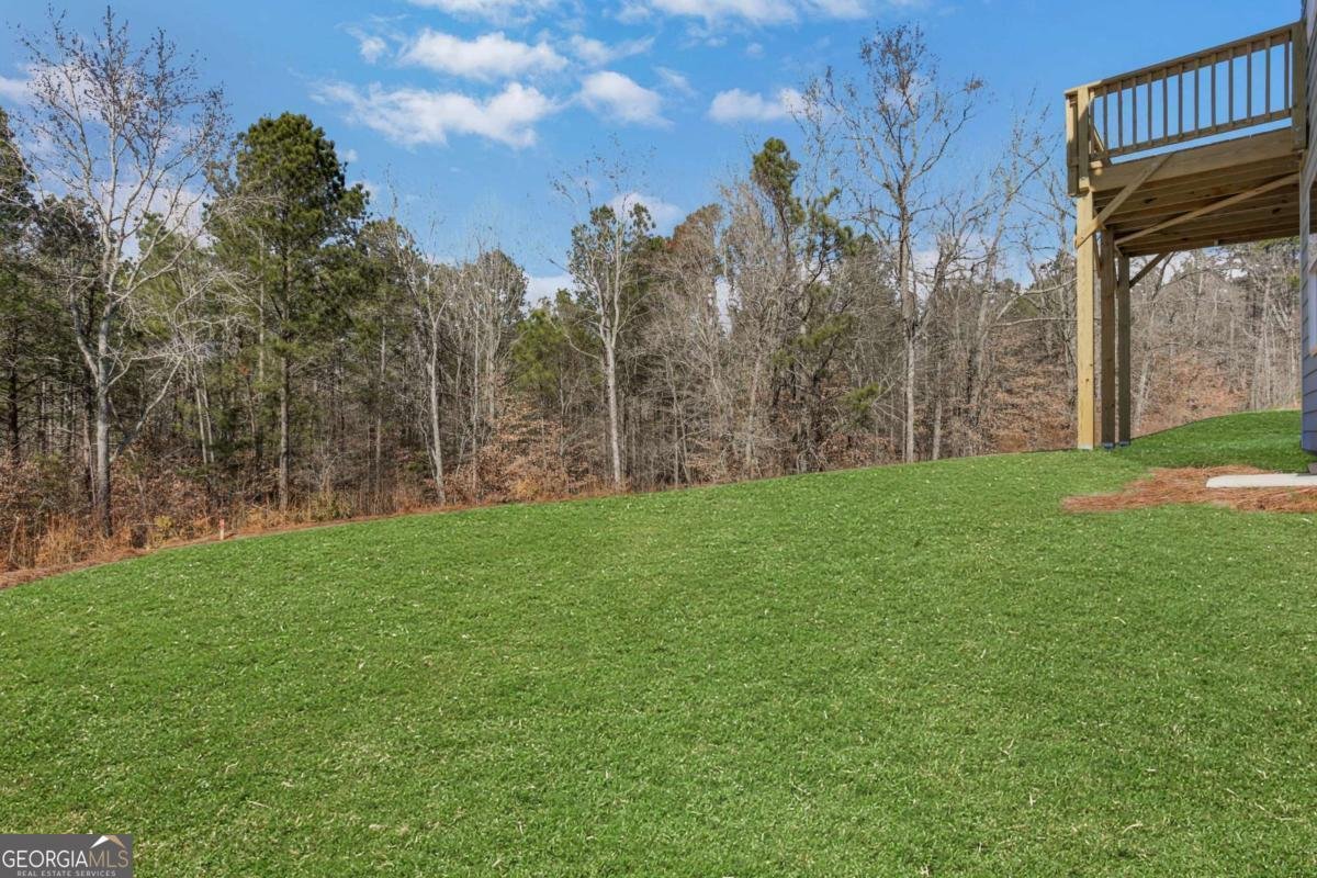 7048 Manchester Drive Flowery Branch - Photo 51