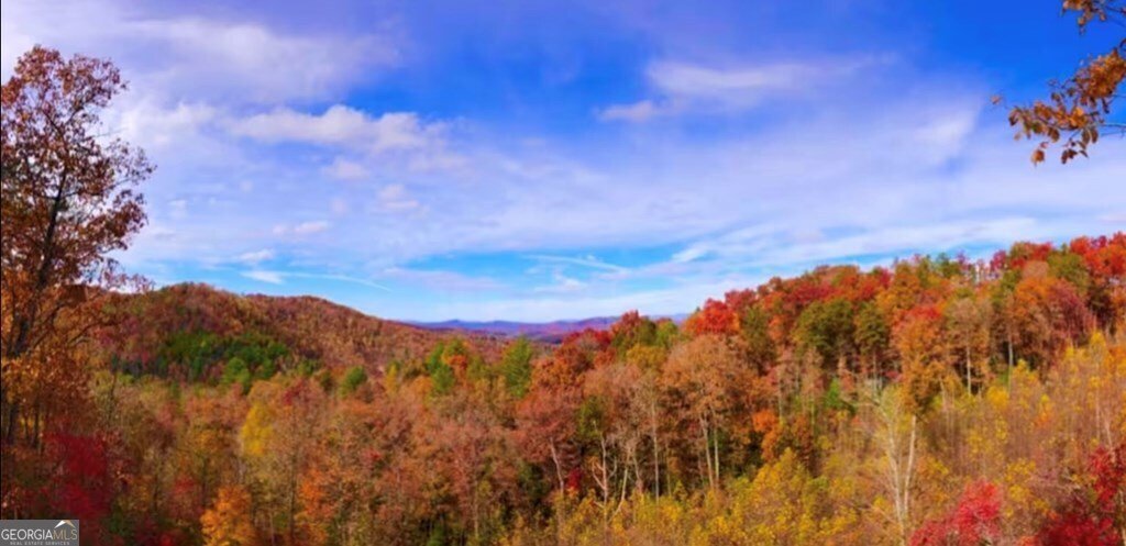 210 Fiddlers Way Brasstown - Photo 7