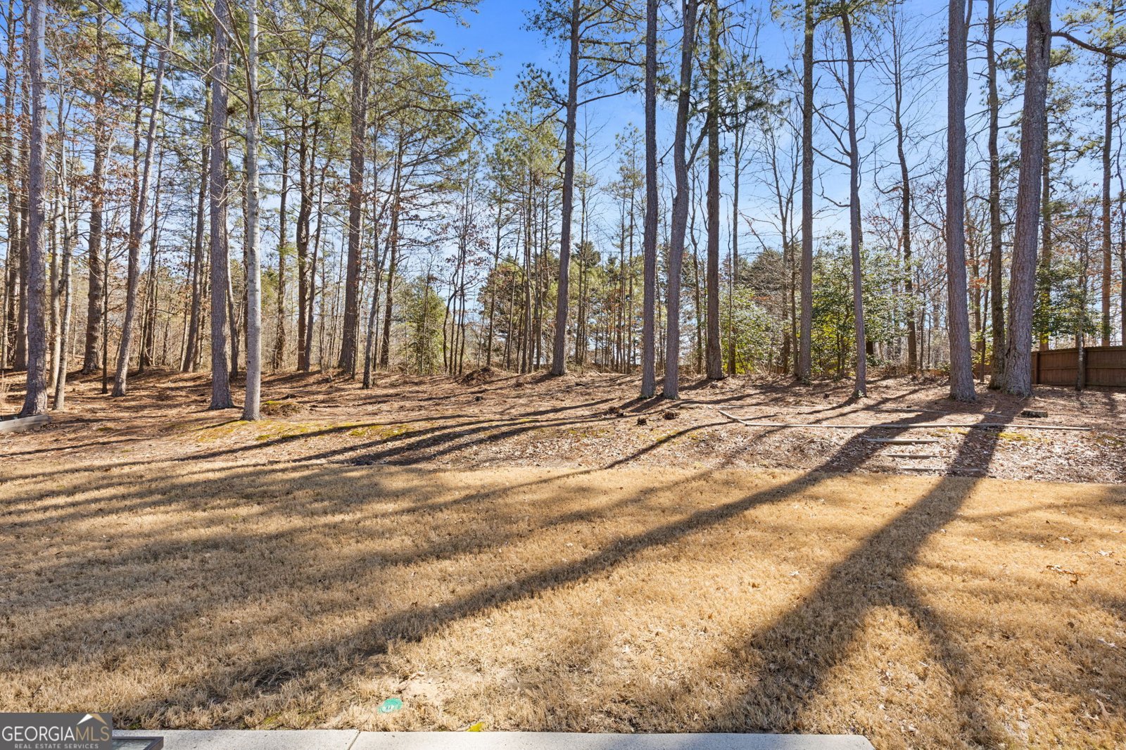 3171 Seneca Farm Lane Buford - Photo 39