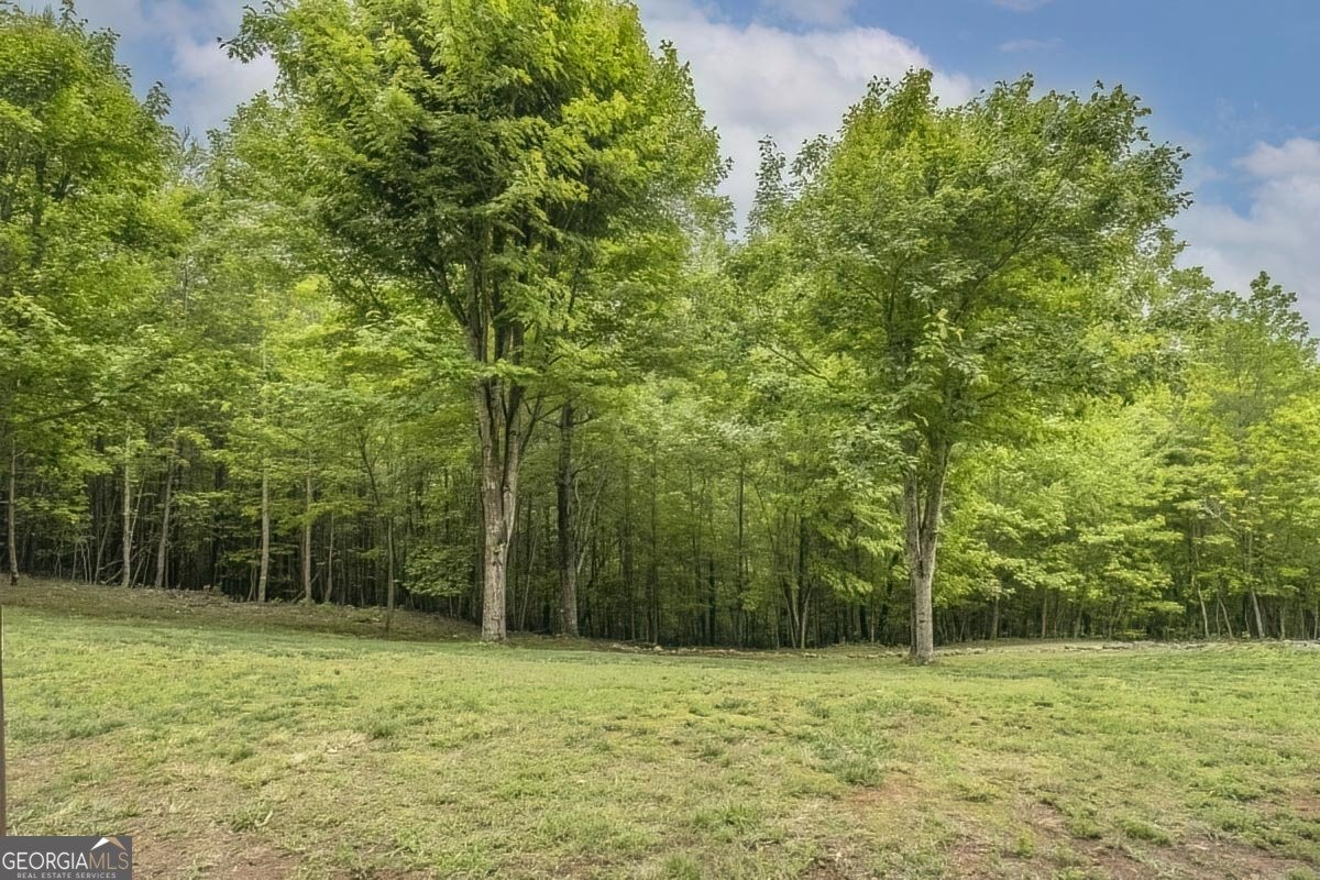 477 Bootlegger Road Morganton - Photo 24