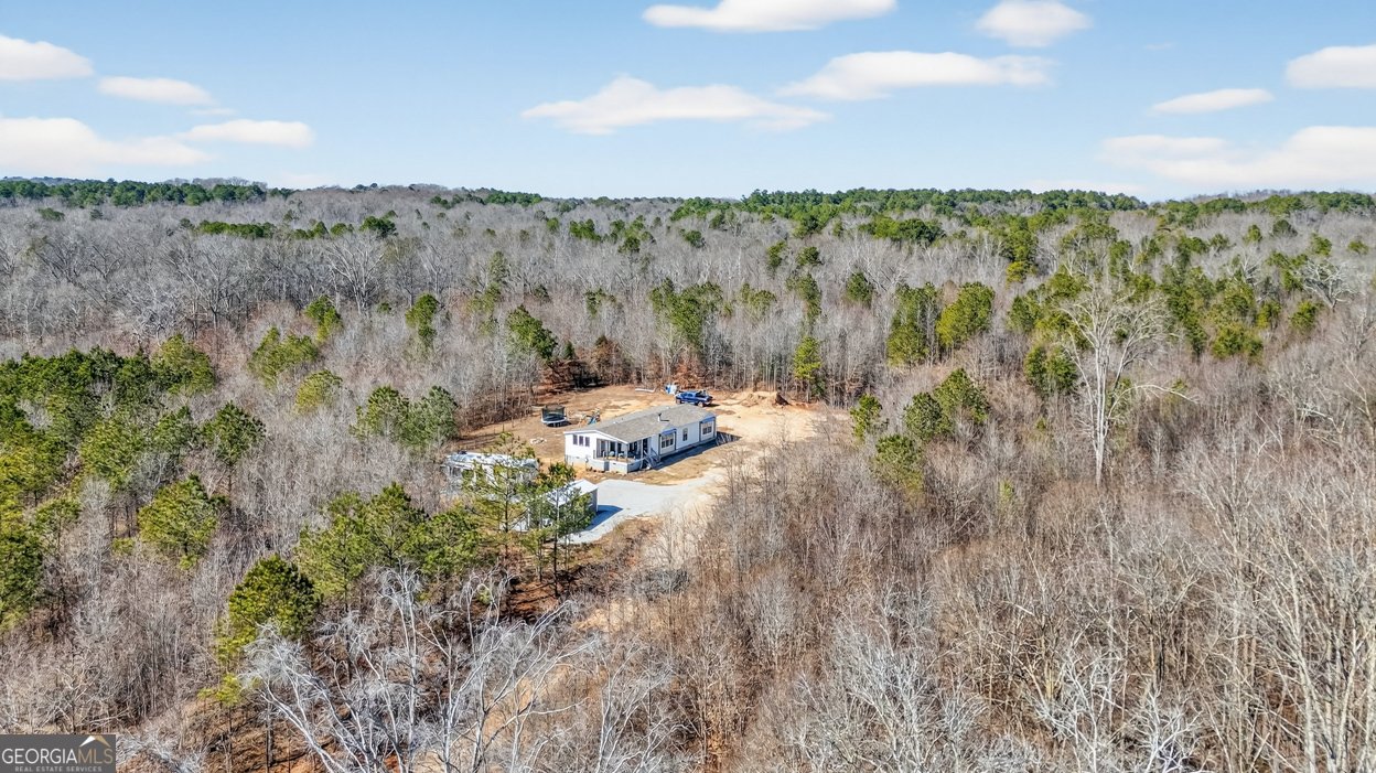 3159 Vineyards Creek Church Road Comer - Photo 45