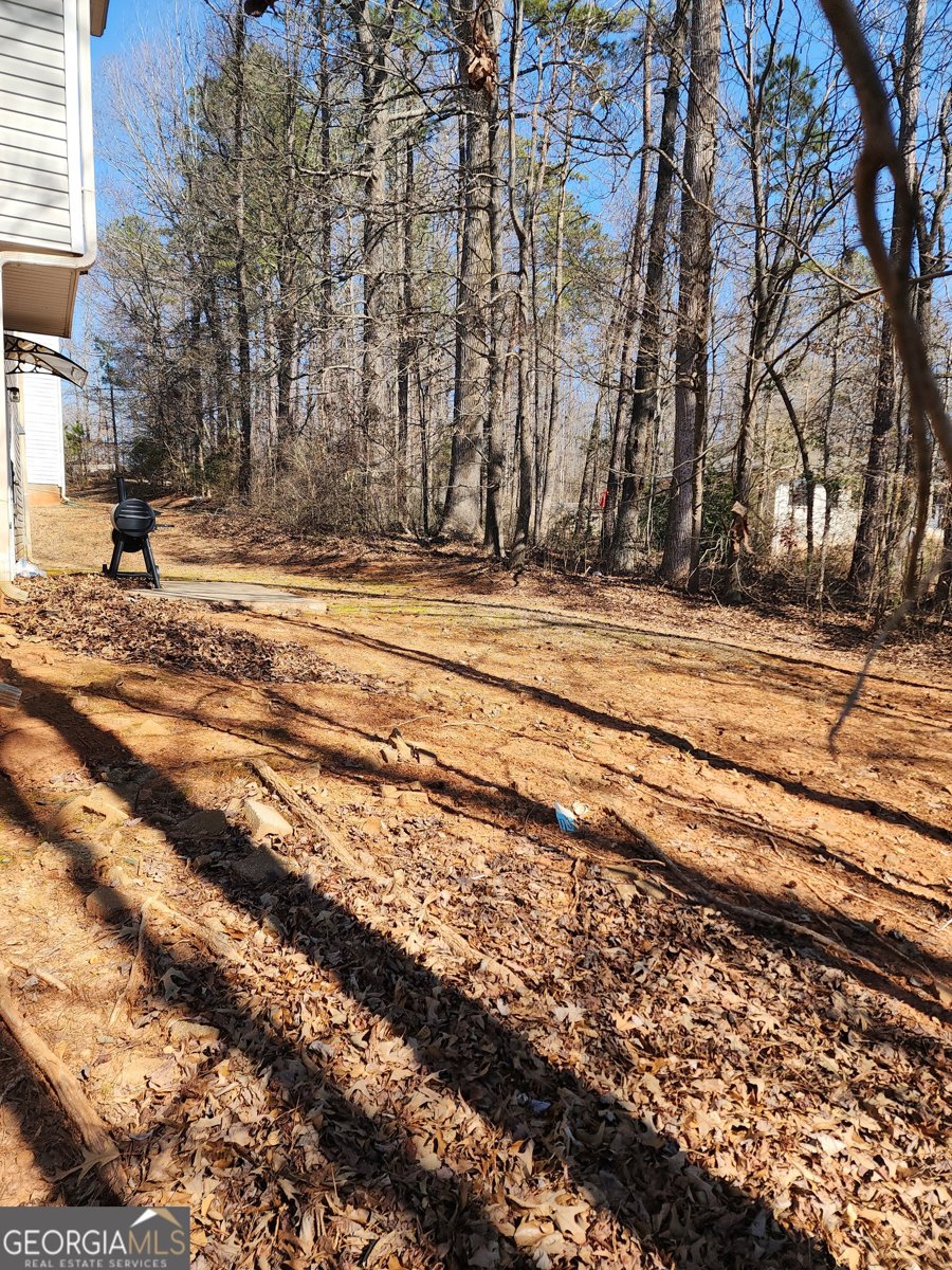 4584 Browns Mill Close Lithonia - Photo 33