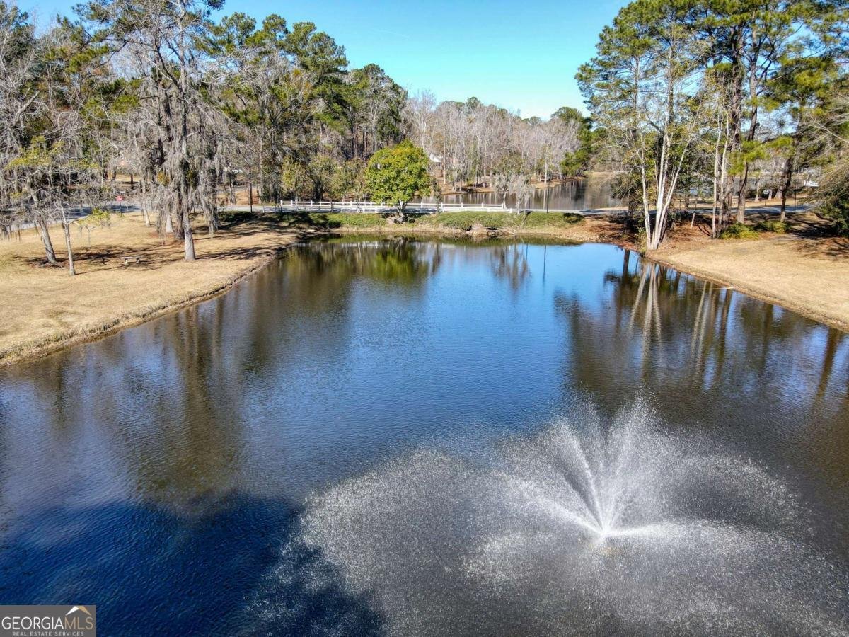 100 Cypress Drive Rincon - Photo 59