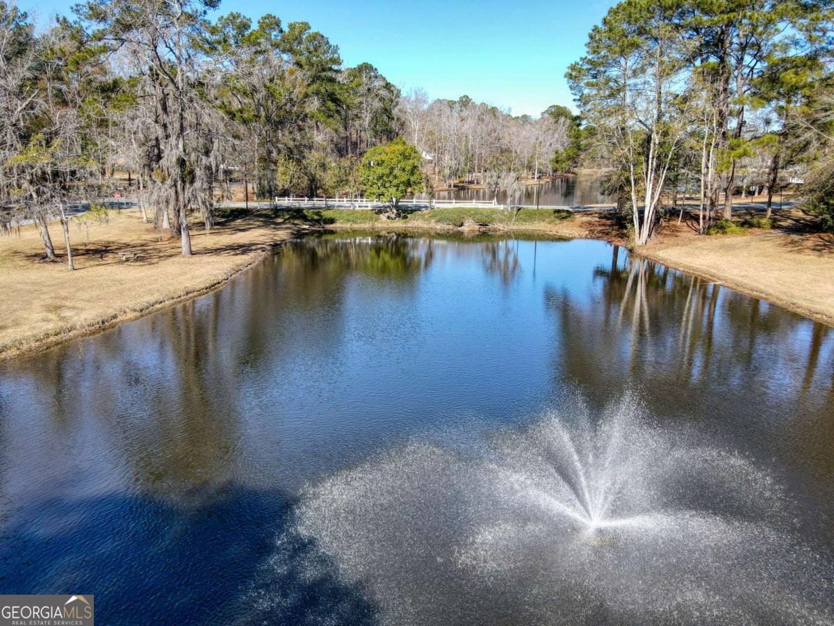 100 Cypress Drive Rincon - Photo 62