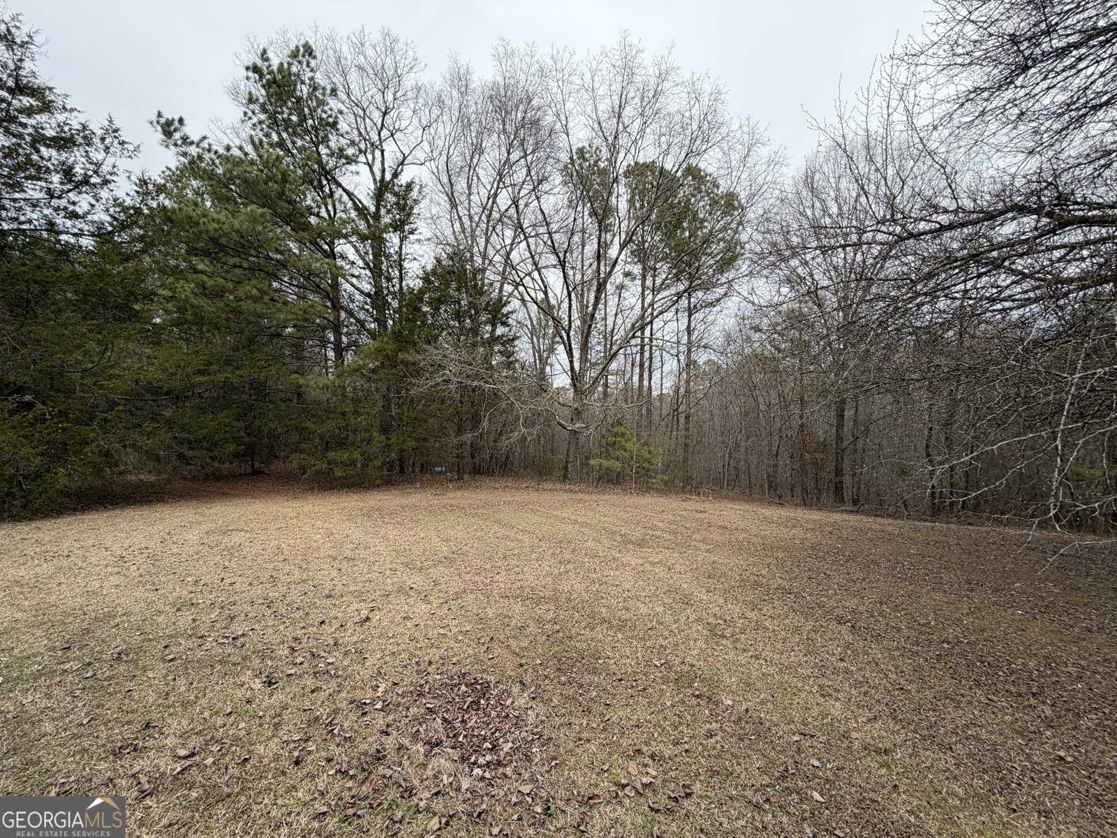 1216 Bellview Road Aragon - Photo 15