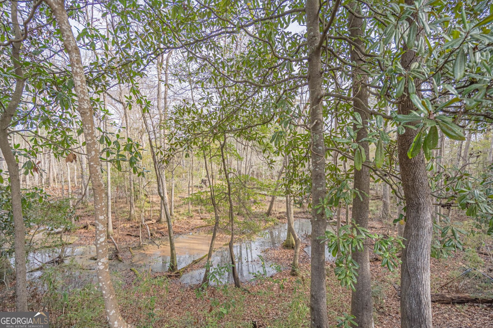 179 Hawk Hammock Drive Springfield - Photo 50