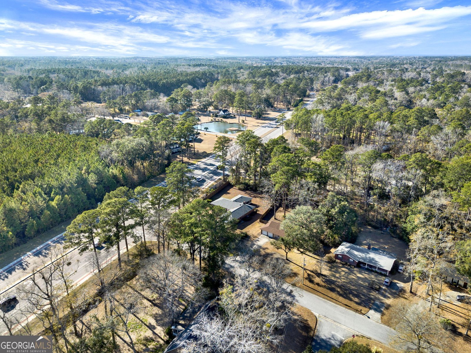 39 Ogeechee Drive Richmond Hill - Photo 36