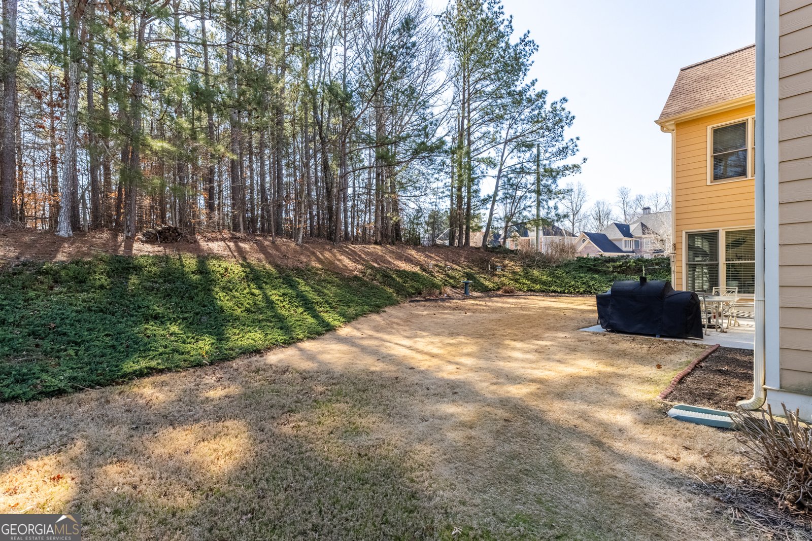 3357 Mulberry Lane Way Dacula - Photo 67