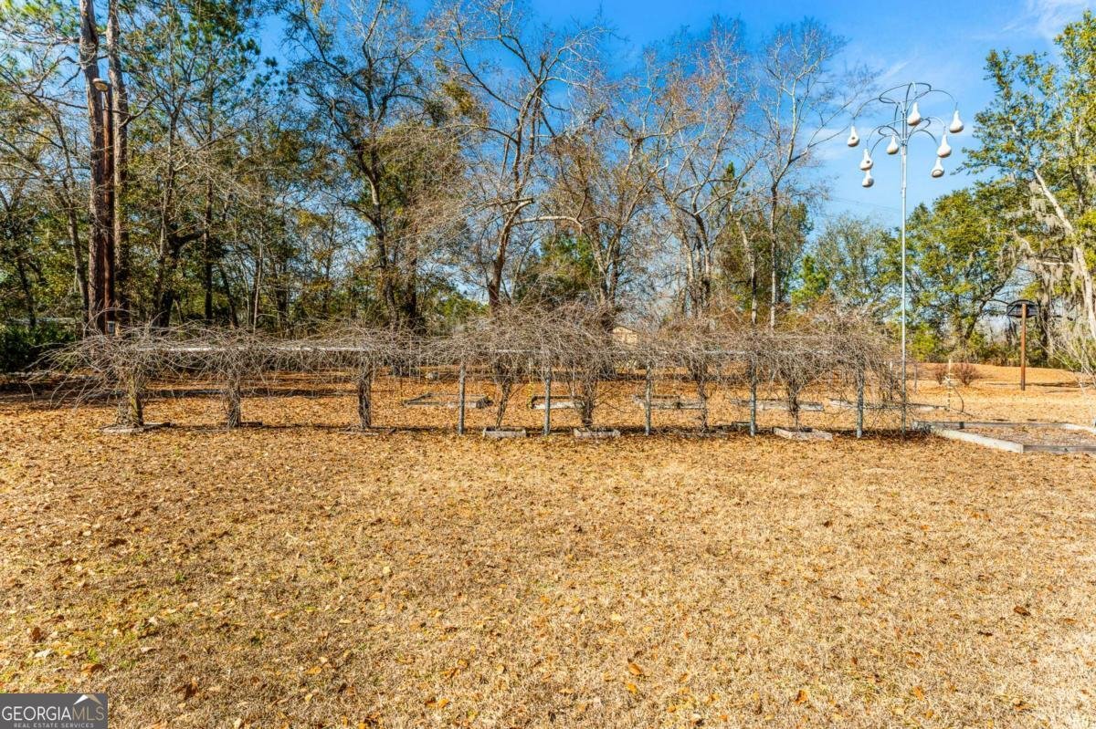 1206 Zittrouer Road Guyton - Photo 43