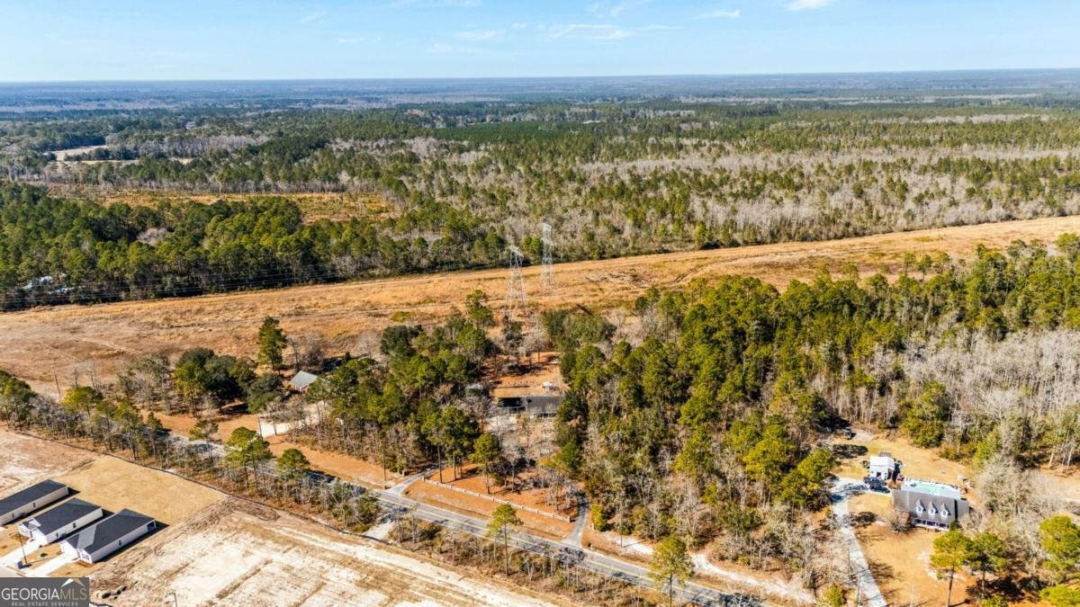 1206 Zittrouer Road Guyton - Photo 62