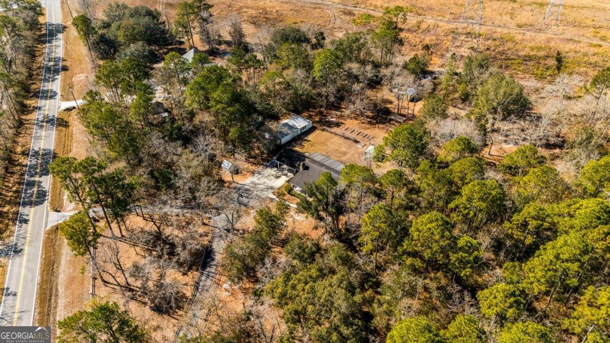 1206 Zittrouer Road Guyton - Photo 63