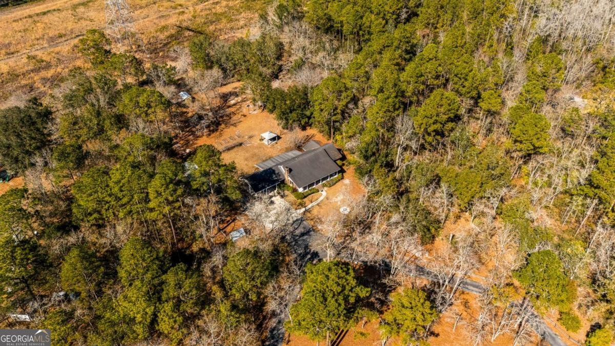 1206 Zittrouer Road Guyton - Photo 64