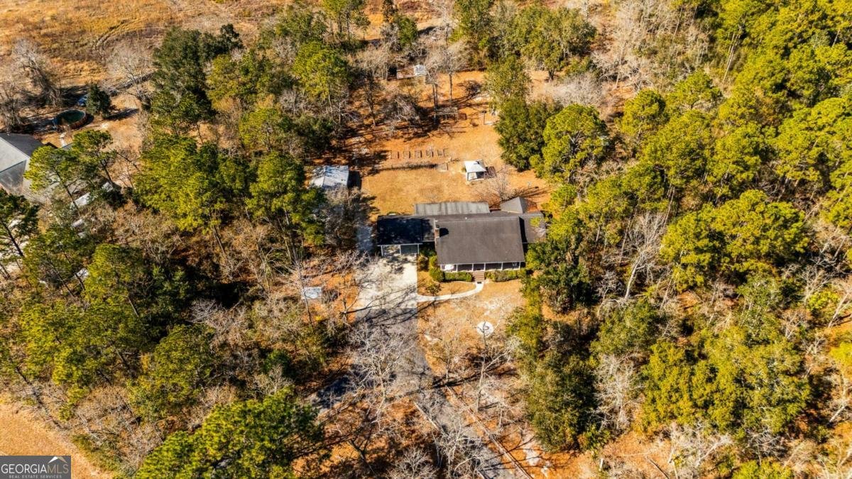 1206 Zittrouer Road Guyton - Photo 65