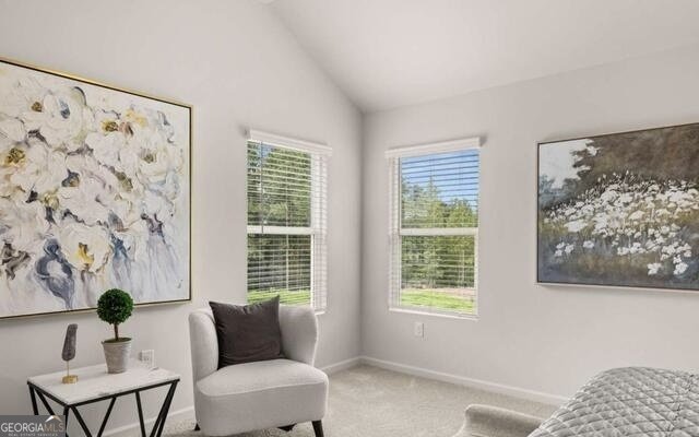 1249 Meadowbrook Drive Jonesboro - Photo 35