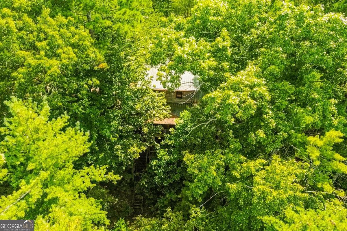 250 Meadow Lane Talking Rock - Photo 45