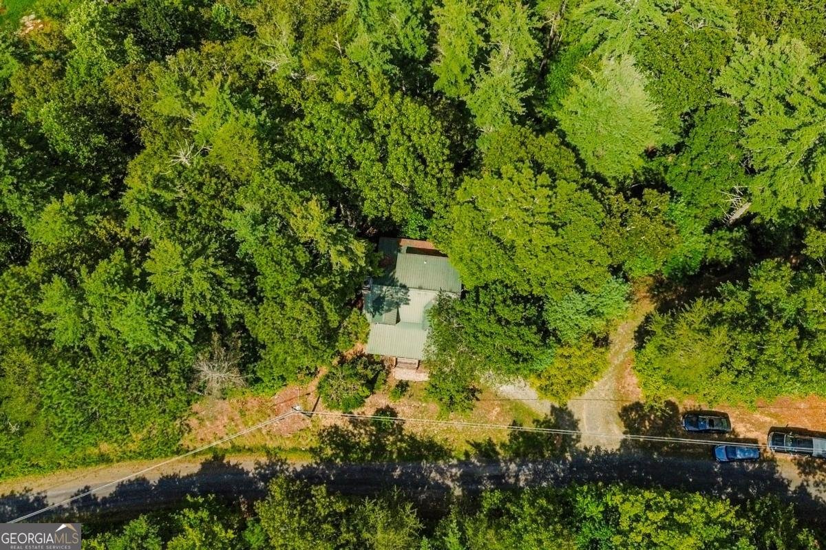 250 Meadow Lane Talking Rock - Photo 46