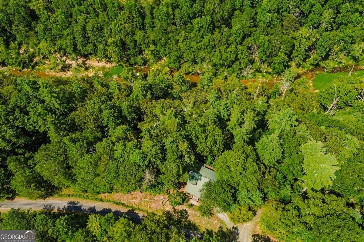 250 Meadow Lane Talking Rock - Photo 47