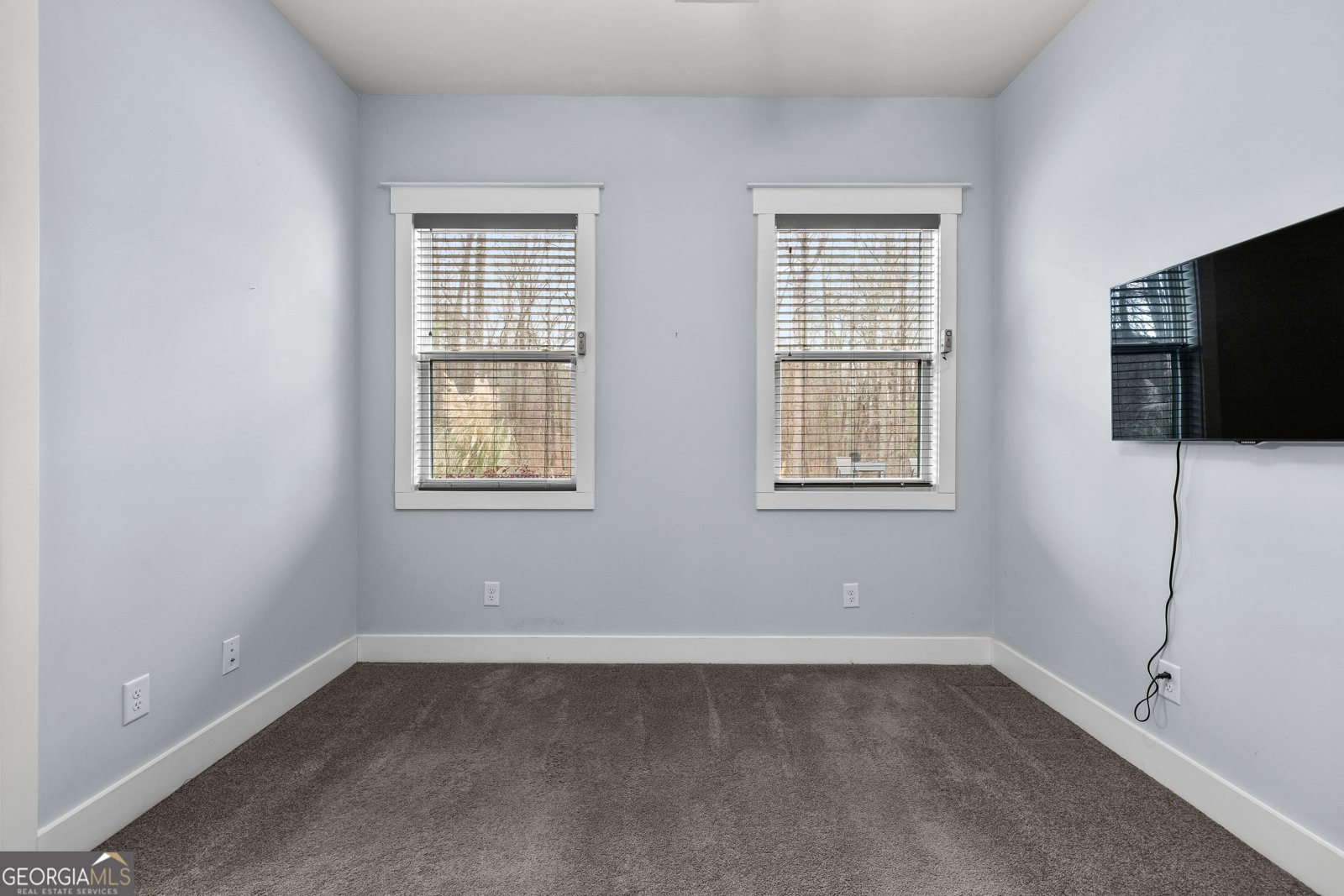 180 Lawshe Farm Drive Senoia - Photo 53