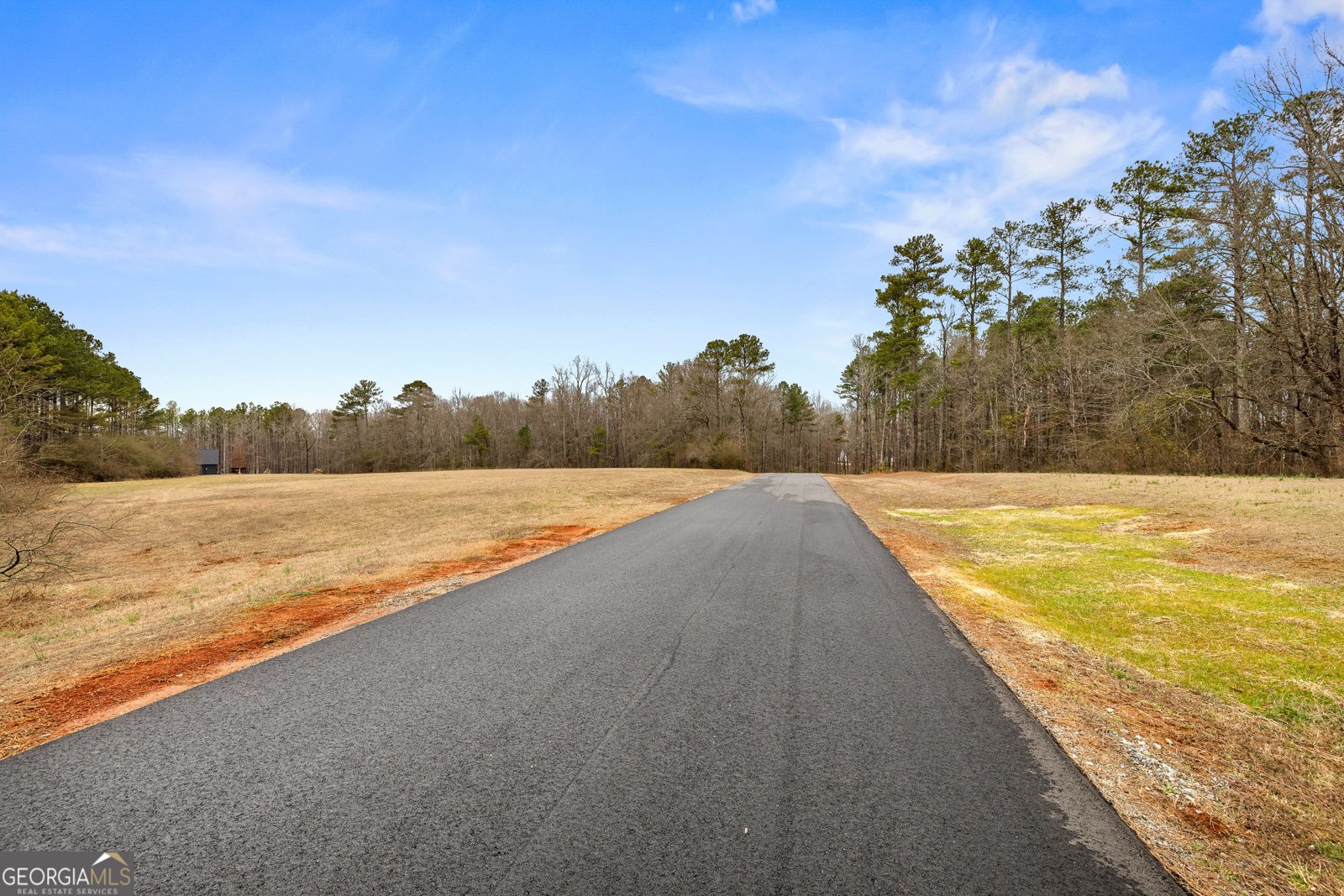 180 Lawshe Farm Drive Senoia - Photo 77