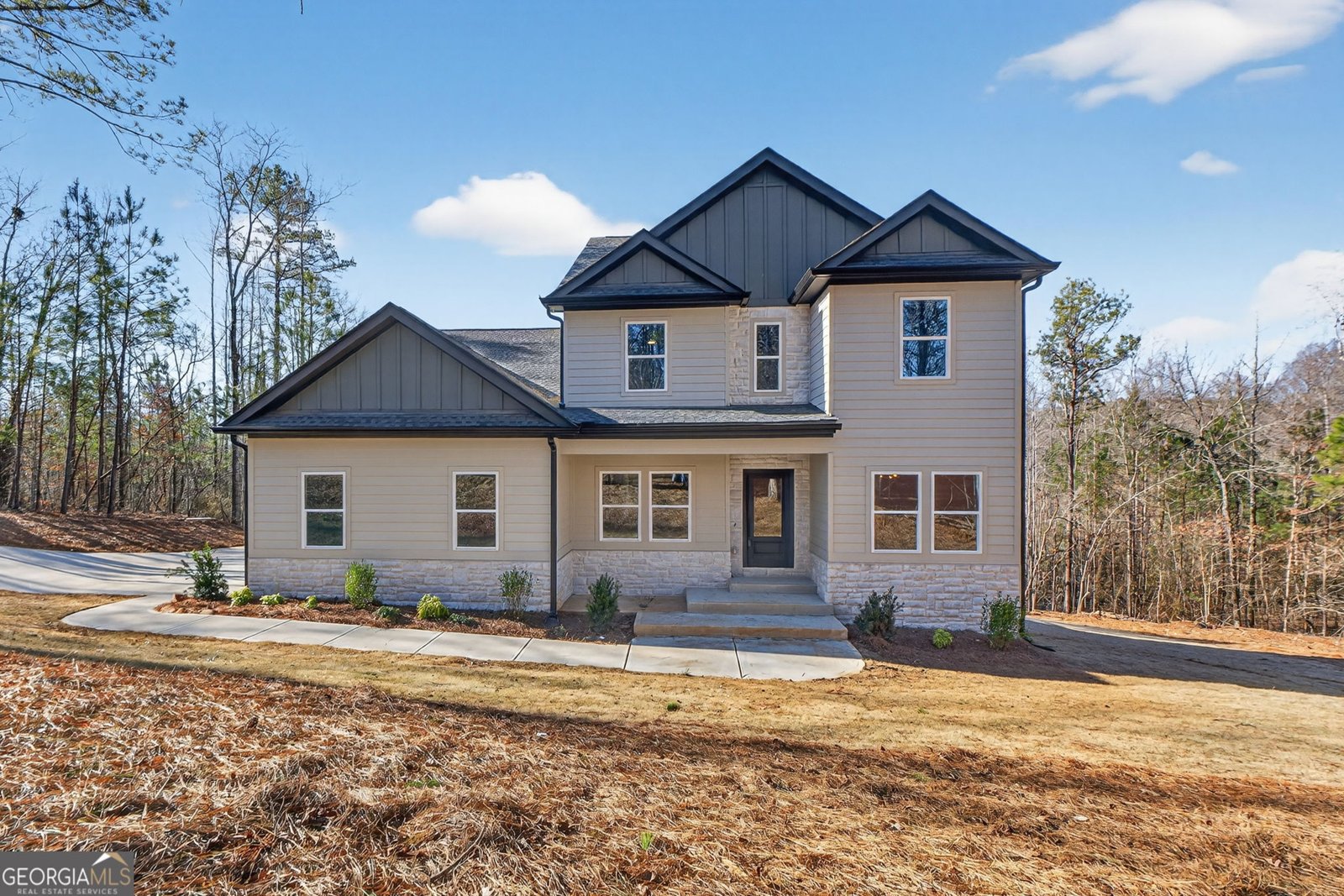 30 Concord Circle Senoia - Photo 1