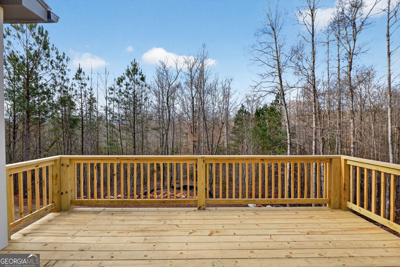 30 Concord Circle Senoia - Photo 34