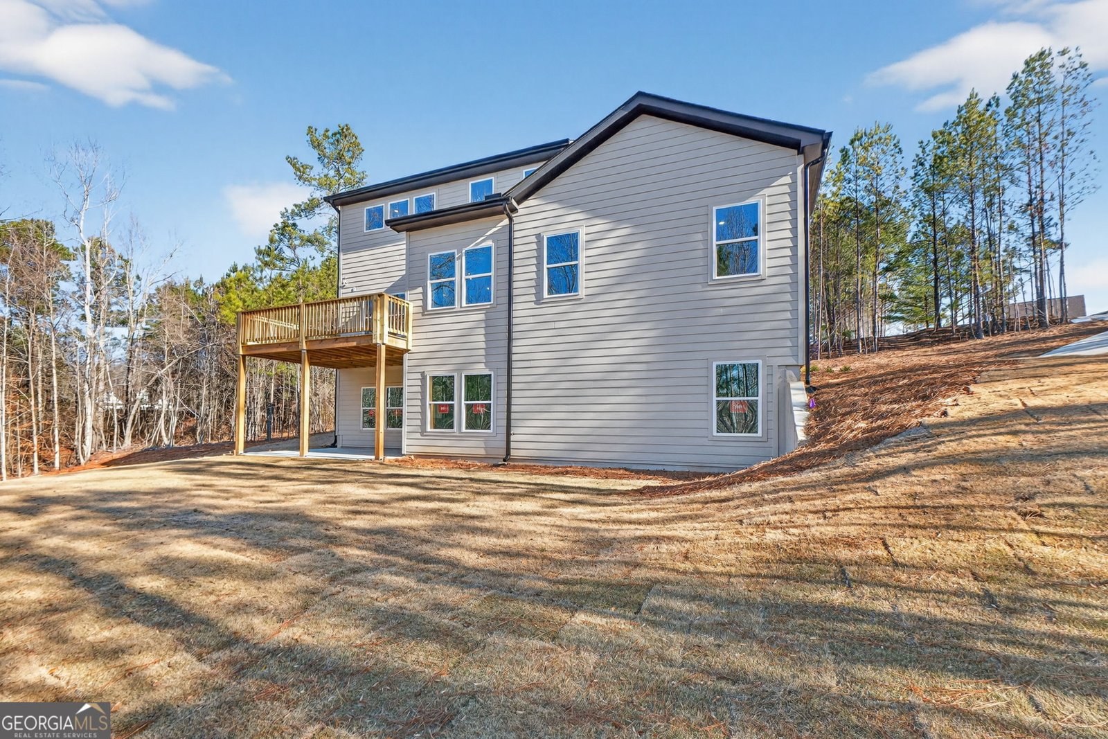 30 Concord Circle Senoia - Photo 66