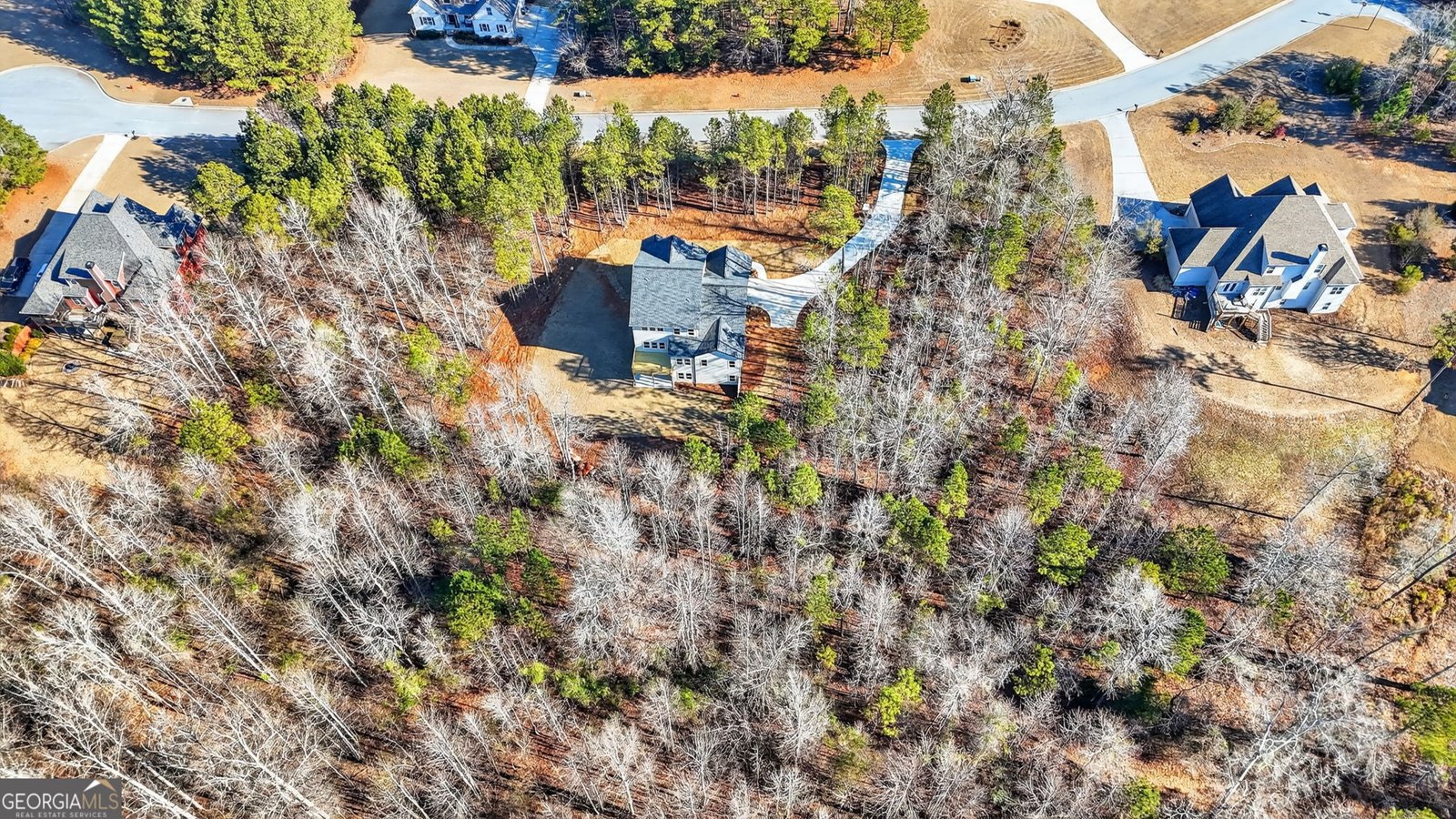 30 Concord Circle Senoia - Photo 72