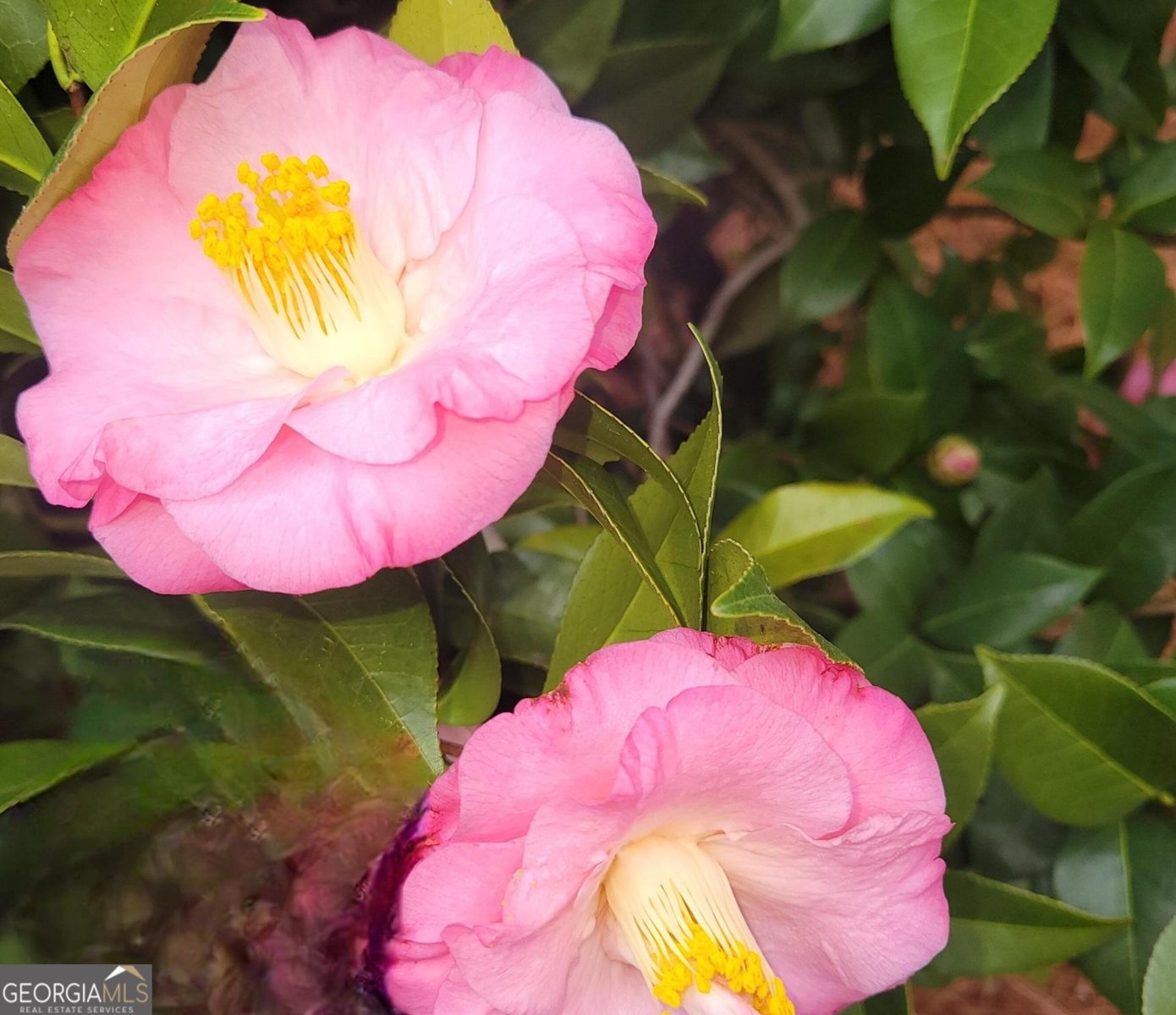 1800 Malco Drive West Point - Photo 41