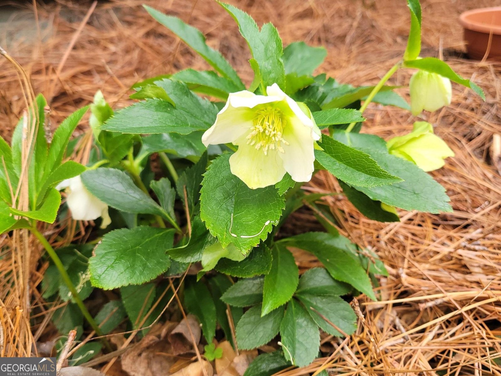 1800 Malco Drive West Point - Photo 42