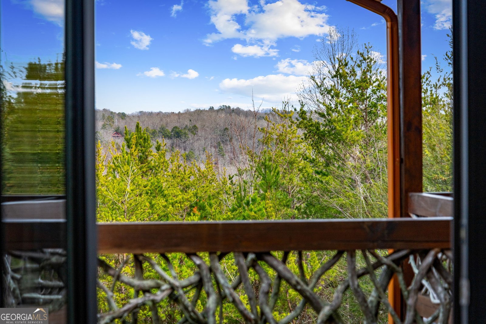 360 Hope Drive Blue Ridge - Photo 53