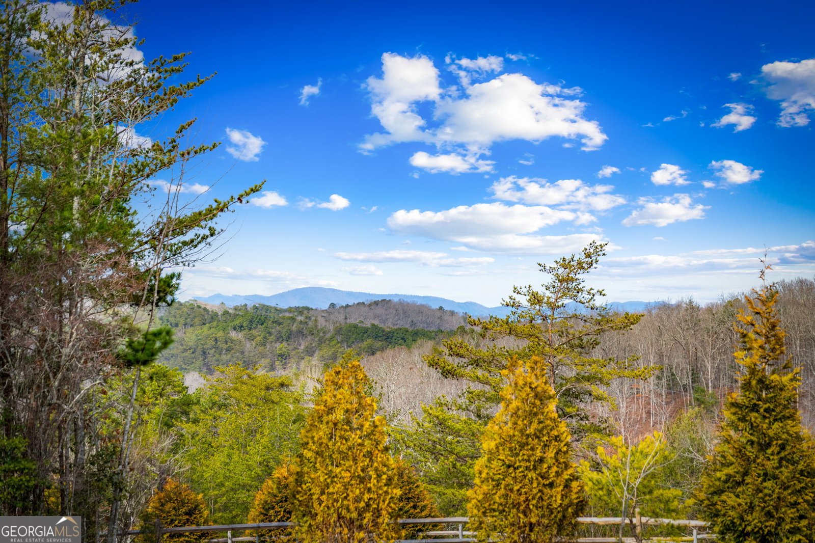 360 Hope Drive Blue Ridge - Photo 58