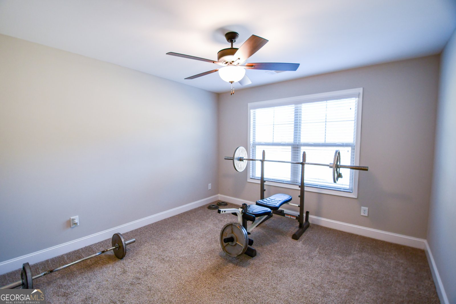 4214 Highway 29 Moreland - Photo 30