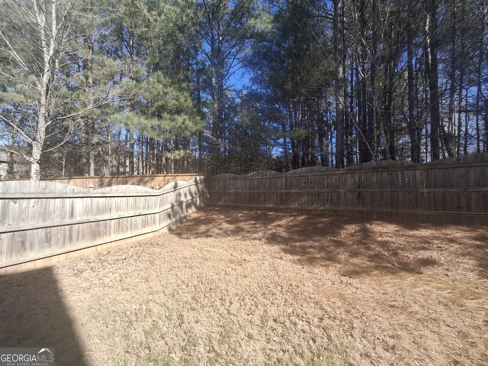 10 Dynasty Drive Fairburn - Photo 16