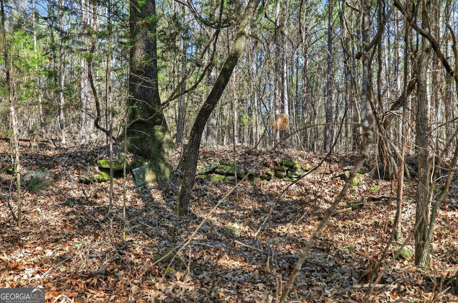 5010 US Highway 27 Franklin - Photo 26