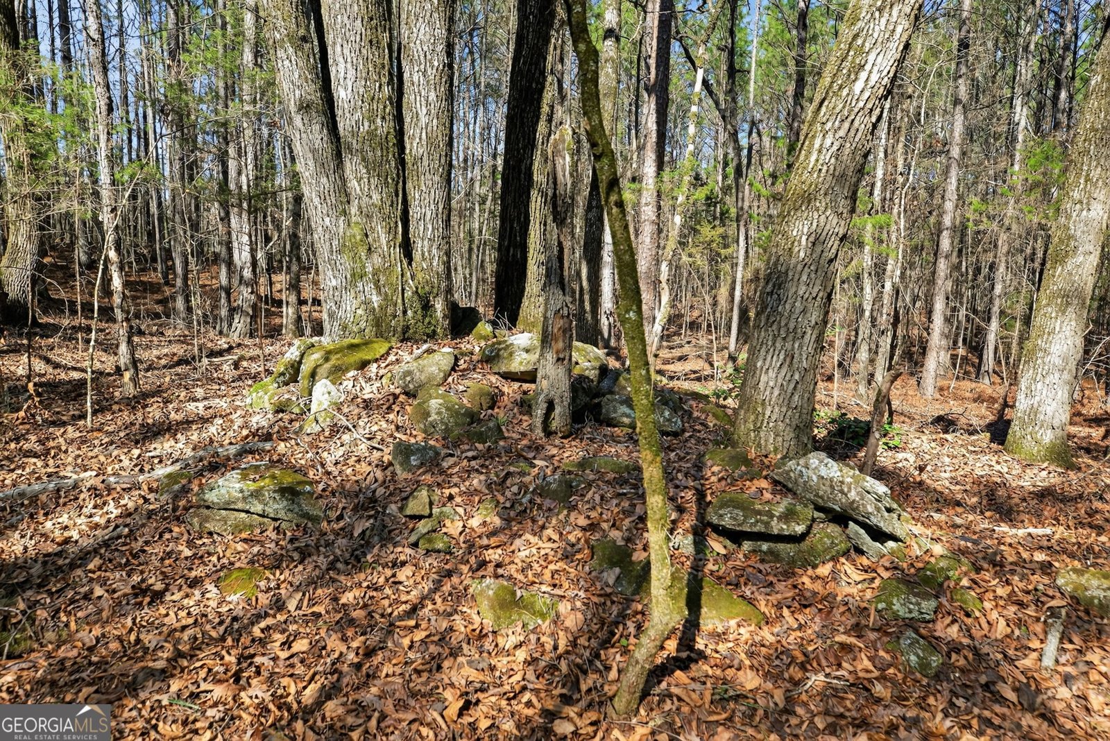 5010 US Highway 27 Franklin - Photo 28