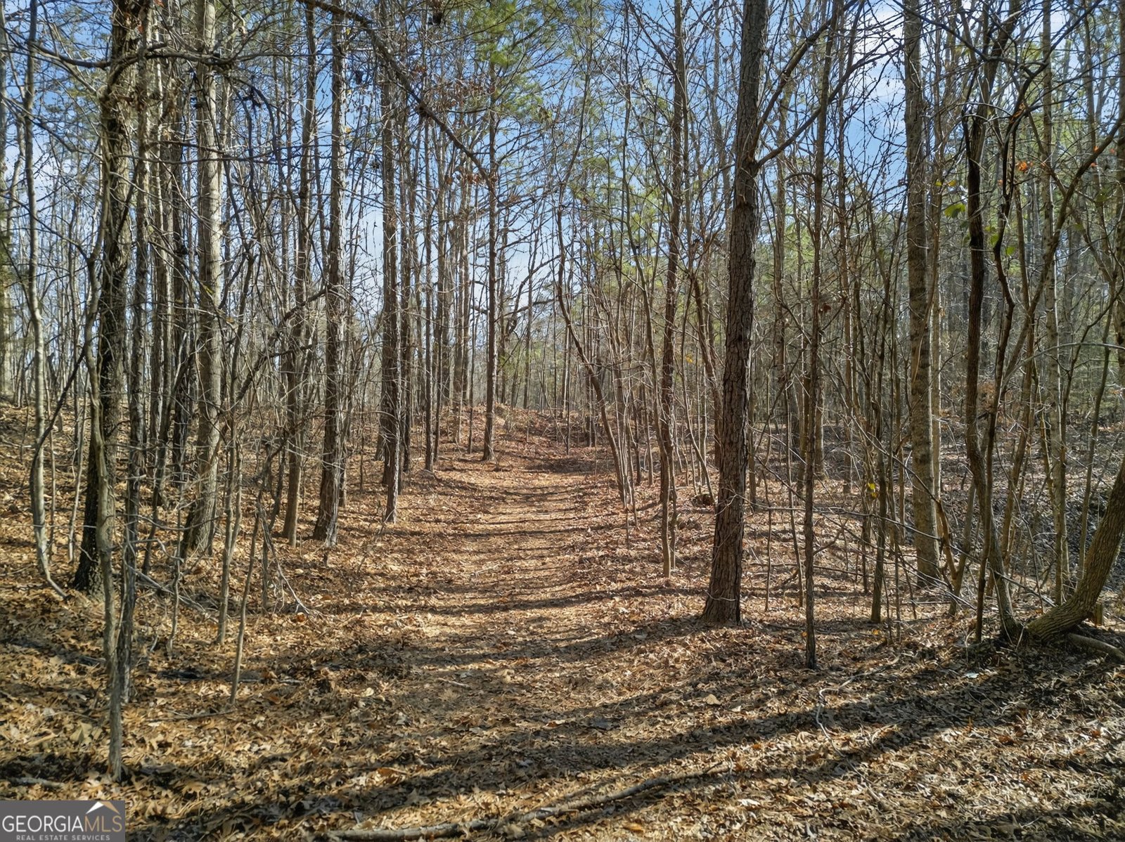 5010 US Highway 27 Franklin - Photo 30