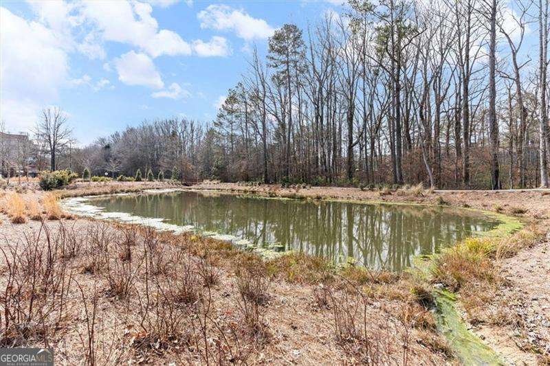 445 Olmstead Way Alpharetta - Photo 28