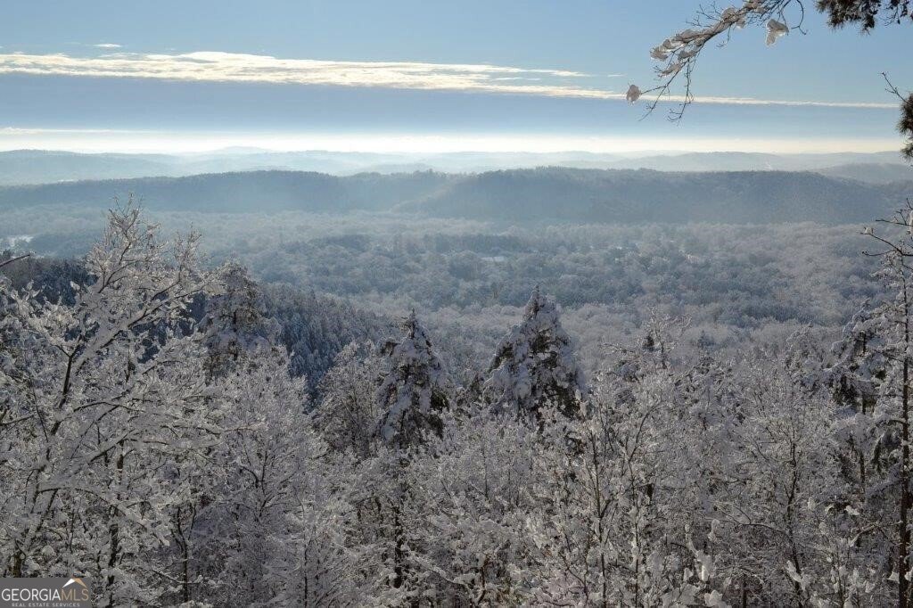 497 Mount Alto Road Rome - Photo 41