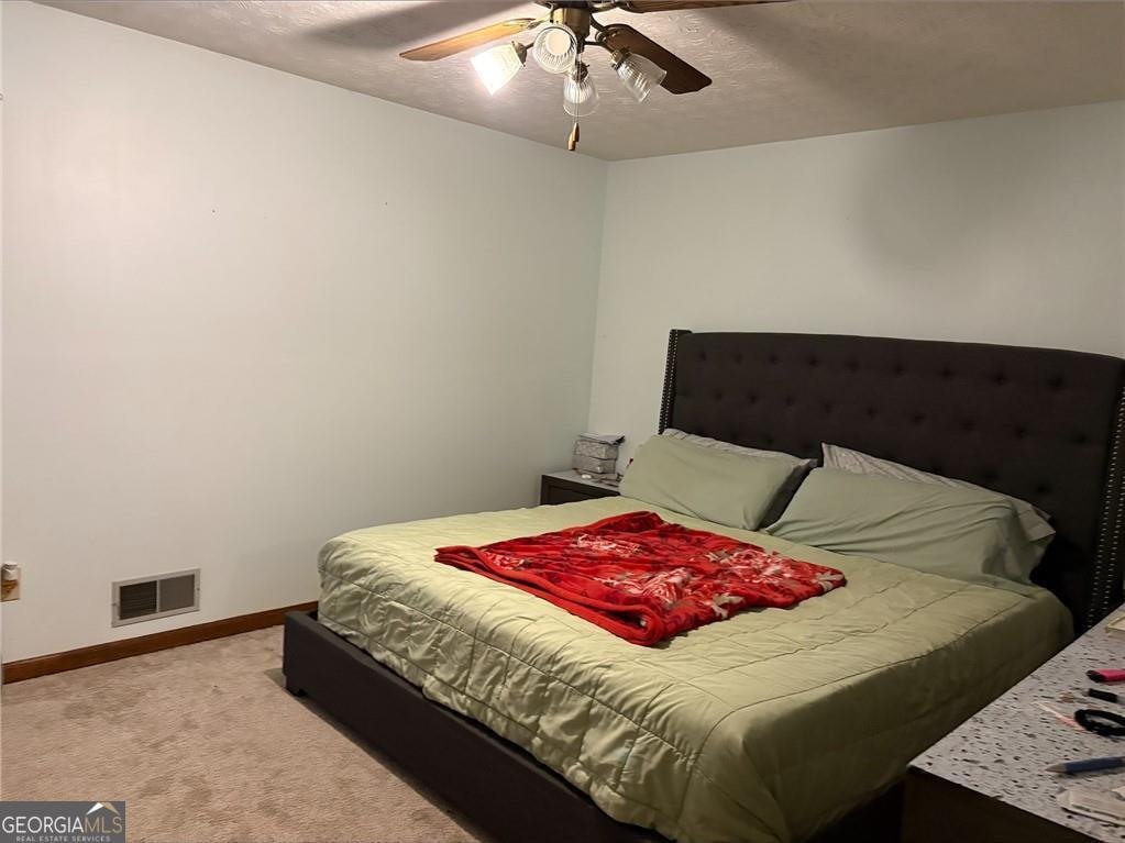 8380 Cedar Grove Road Fairburn - Photo 8