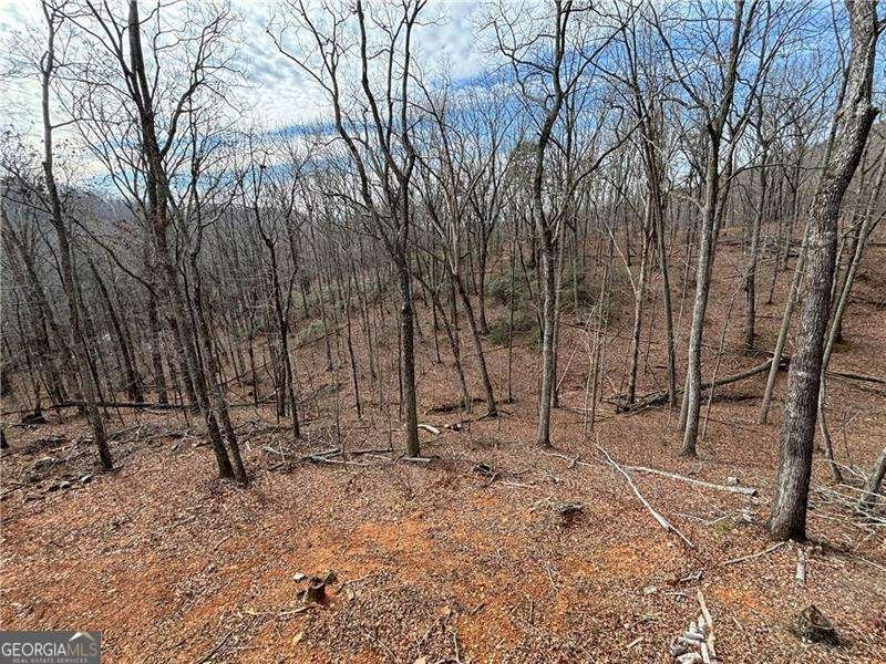 777 TALKING ROCK FALLS, NE Jasper - Photo 35