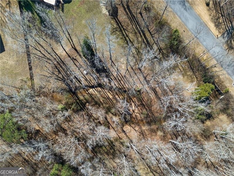 92 Indian Lake Court Hiram - Photo 46