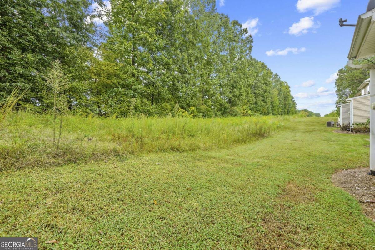 902 Tree Creek Boulevard Lawrenceville - Photo 37