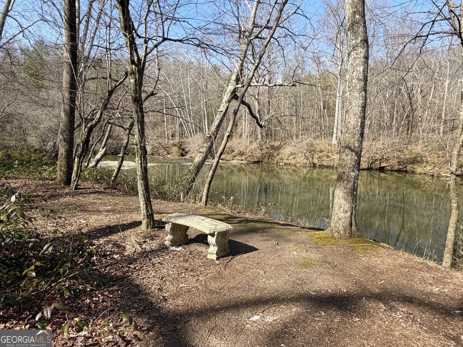 234 Old River Road Cornelia - Photo 30