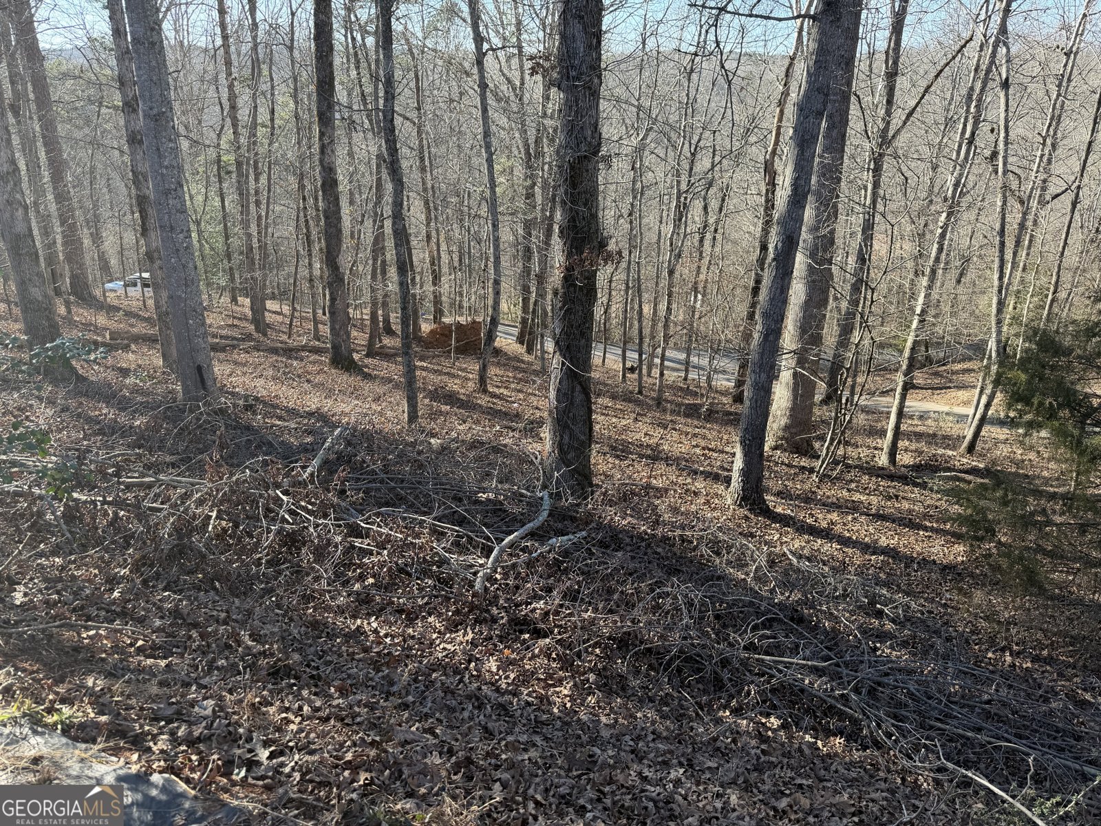 234 Old River Road Cornelia - Photo 8