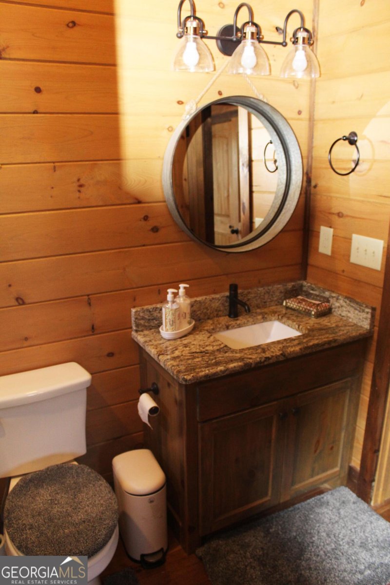 529 Toccoa Preserve Lane Blue Ridge - Photo 36