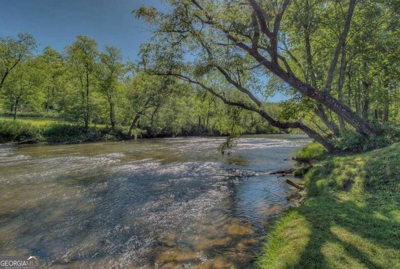 529 Toccoa Preserve Lane Blue Ridge - Photo 45