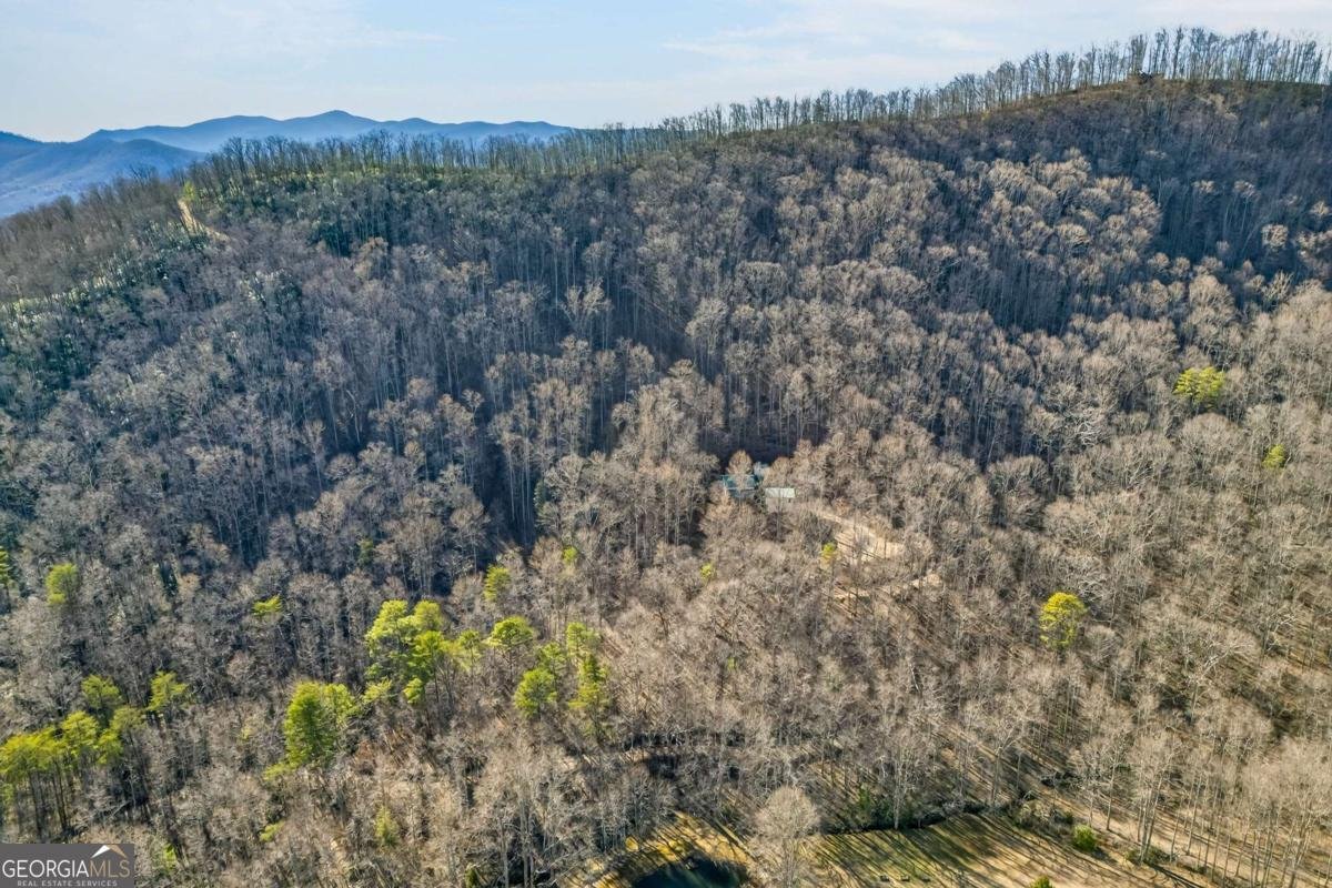 317 Collins Creek Road Hiawassee - Photo 10