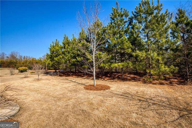 5550 Bergeson Way Cumming - Photo 37