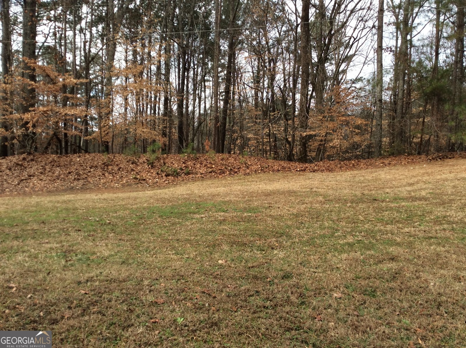 3161 Marble Quarry Road Canton - Photo 10